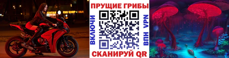 Галлюциногенные грибы ЛСД  Купить где  Белореченск 
